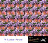 airplane.jpg (76279 byte)