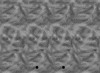 example.gif (57496 byte)