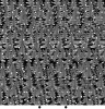 ndsisx.gif (99256 byte)