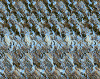 rid_w.gif (127495 byte)