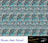 sharks.jpg (86677 byte)