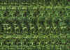 stereobutmedia.jpg (47483 byte)